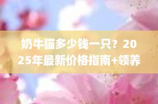 奶牛猫多少钱一只？2025年最新价格指南+领养建议，新手必看！
