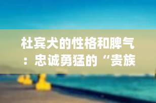 杜宾犬的性格和脾气：忠诚勇猛的“贵族护卫”，你真的了解它吗？