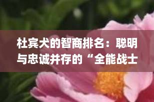 杜宾犬的智商排名：聪明与忠诚并存的“全能战士”