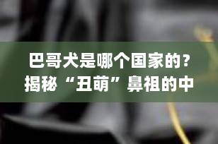巴哥犬是哪个国家的？揭秘“丑萌”鼻祖的中国血统与全球传奇