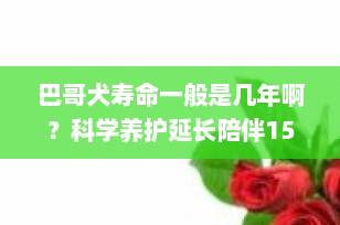 巴哥犬寿命一般是几年啊？科学养护延长陪伴15年的秘诀全公开！