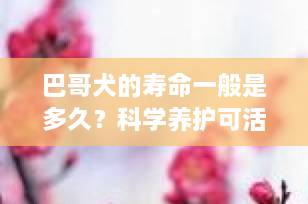 巴哥犬的寿命一般是多久？科学养护可活15年以上！