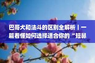 巴哥犬和法斗的区别全解析｜一篇看懂如何选择适合你的“短鼻萌犬”