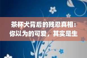 茶杯犬背后的残忍真相：你以为的可爱，其实是生命的悲剧