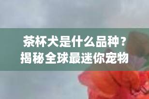 茶杯犬是什么品种？揭秘全球最迷你宠物狗的真实身份