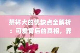 茶杯犬的优缺点全解析：可爱背后的真相，养前必看！