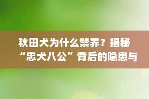 秋田犬为什么禁养？揭秘“忠犬八公”背后的隐患与城市禁养真相