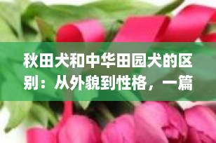 秋田犬和中华田园犬的区别：从外貌到性格，一篇看懂两大犬种差异