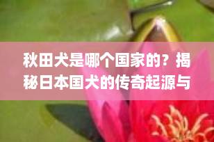 秋田犬是哪个国家的？揭秘日本国犬的传奇起源与独特魅力