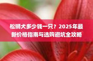 松狮犬多少钱一只？2025年最新价格指南与选购避坑全攻略