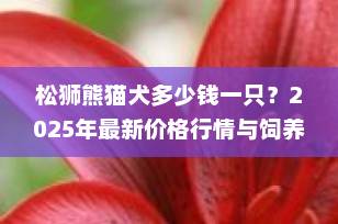 松狮熊猫犬多少钱一只？2025年最新价格行情与饲养全攻略