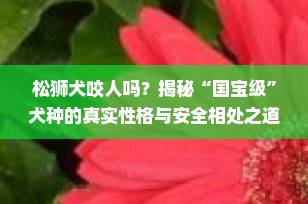 松狮犬咬人吗？揭秘“国宝级”犬种的真实性格与安全相处之道