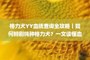 格力犬YY血统查询全攻略｜如何辨别纯种格力犬？一文读懂血统认证与选购避坑指南