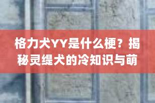 格力犬YY是什么梗？揭秘灵缇犬的冷知识与萌点，宠物博主必看！