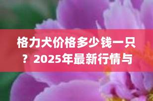 格力犬价格多少钱一只？2025年最新行情与选购全攻略