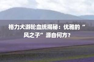 格力犬游轮血统揭秘：优雅的“风之子”源自何方？