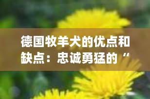 德国牧羊犬的优点和缺点：忠诚勇猛的“全能战士”，你真的适合养吗？
