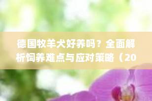 德国牧羊犬好养吗？全面解析饲养难点与应对策略（2025最新指南）