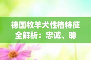 德国牧羊犬性格特征全解析：忠诚、聪慧与警惕并存的“全能战士”