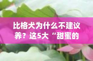 比格犬为什么不建议养？这5大“甜蜜的烦恼”你必须提前知道！