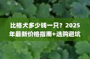 比格犬多少钱一只？2025年最新价格指南+选购避坑全攻略