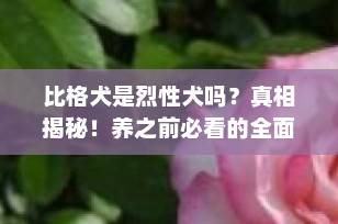 比格犬是烈性犬吗？真相揭秘！养之前必看的全面解析