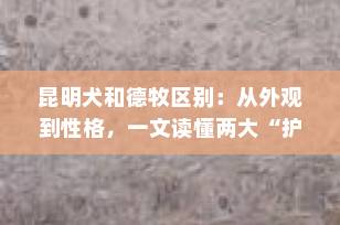 昆明犬和德牧区别：从外观到性格，一文读懂两大“护卫犬之王”