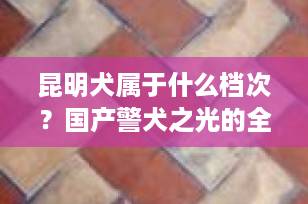 昆明犬属于什么档次？国产警犬之光的全面解析