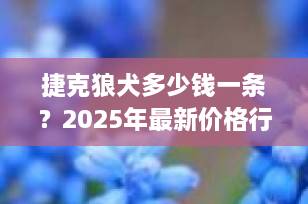 捷克狼犬多少钱一条？2025年最新价格行情与饲养全解析