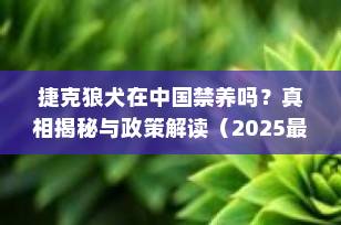 捷克狼犬在中国禁养吗？真相揭秘与政策解读（2025最新）