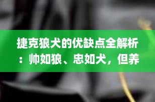 捷克狼犬的优缺点全解析：帅如狼、忠如犬，但养它之前你必须知道这些！