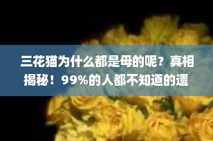 三花猫为什么都是母的呢？真相揭秘！99%的人都不知道的遗传学奥秘