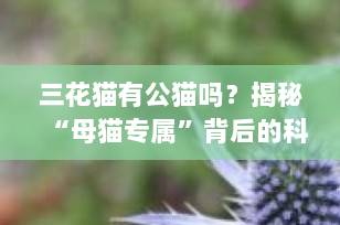 三花猫有公猫吗？揭秘“母猫专属”背后的科学真相！