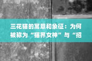 三花猫的寓意和象征：为何被称为“猫界女神”与“招财幸运符”？