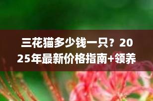 三花猫多少钱一只？2025年最新价格指南+领养建议（收藏版）