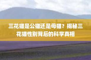 三花猫是公猫还是母猫？揭秘三花猫性别背后的科学真相
