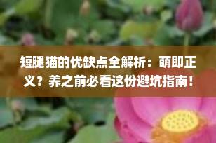 短腿猫的优缺点全解析：萌即正义？养之前必看这份避坑指南！