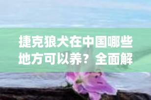 捷克狼犬在中国哪些地方可以养？全面解析禁养政策与合法饲养指南（2025年更新）