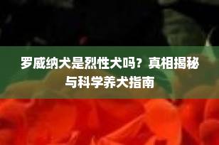 罗威纳犬是烈性犬吗？真相揭秘与科学养犬指南