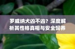 罗威纳犬凶不凶？深度解析其性格真相与安全饲养指南（2025最新）
