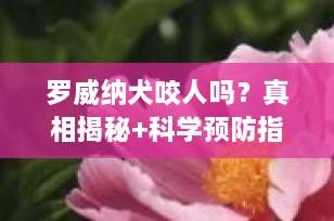 罗威纳犬咬人吗？真相揭秘+科学预防指南（2025最新版）