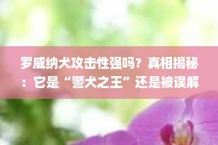 罗威纳犬攻击性强吗？真相揭秘：它是“警犬之王”还是被误解的守护者？