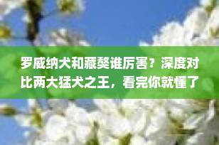 罗威纳犬和藏獒谁厉害？深度对比两大猛犬之王，看完你就懂了！