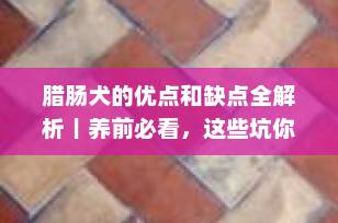 腊肠犬的优点和缺点全解析｜养前必看，这些坑你一定要知道！