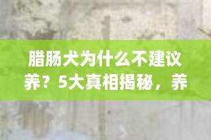 腊肠犬为什么不建议养？5大真相揭秘，养前必看！