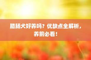 腊肠犬好养吗？优缺点全解析，养前必看！