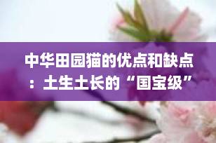 中华田园猫的优点和缺点：土生土长的“国宝级”猫咪值得养吗？
