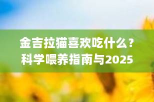 金吉拉猫喜欢吃什么？科学喂养指南与2025高口碑猫粮推荐