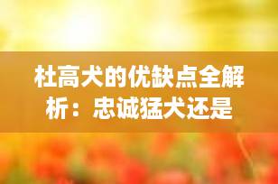杜高犬的优缺点全解析：忠诚猛犬还是家庭隐患？养前必看！