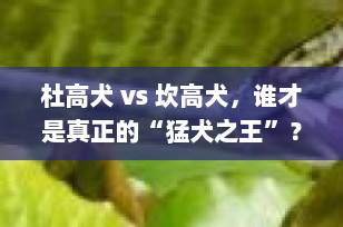 杜高犬 vs 坎高犬，谁才是真正的“猛犬之王”？真相令人意外！
